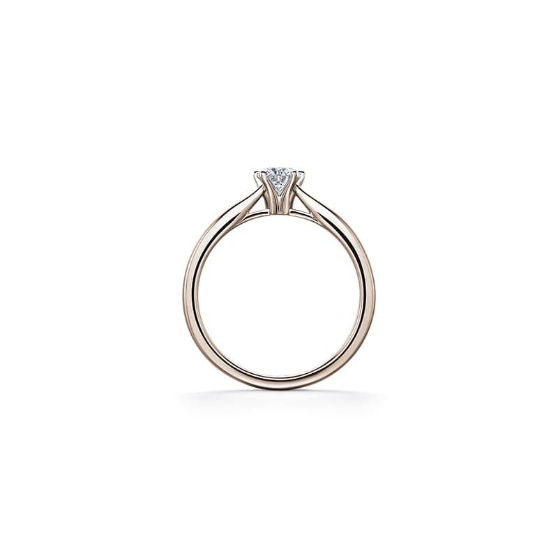 クロリス ペールブラウンゴールド